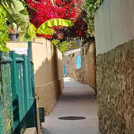 Appartement La Cantarelle Rez De Chaussee Bandol